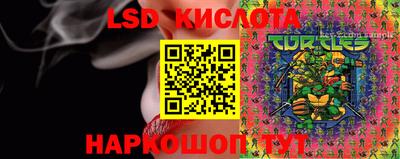 индика Обнинск