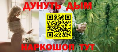 индика Обь