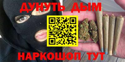 индика Обь