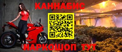 индика Обнинск