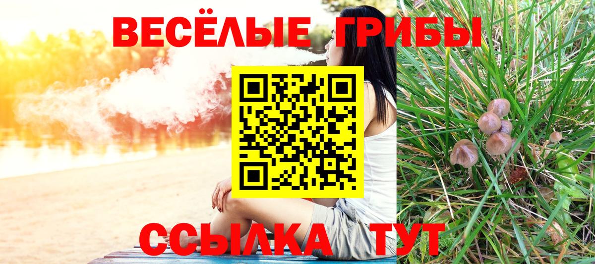 Псилоцибиновые грибы MAGIC MUSHROOMS  Псилоцибиновые грибы MAGIC MUSHROOMS  Вход с VPN  Трёхгорный 
